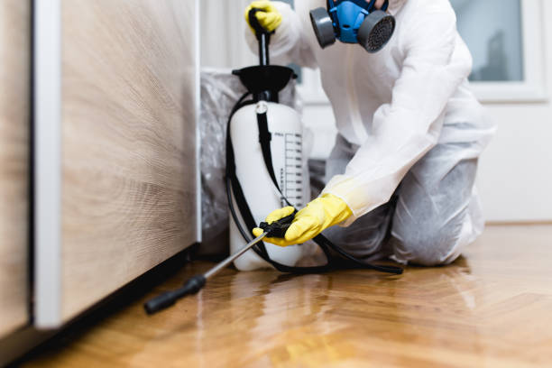 Best Pest Prevention Services  in Leon Valley, TX