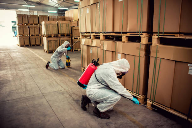 Best Flea Control Services  in Leon Valley, TX