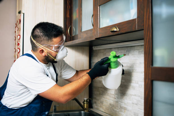 Best Exterminator Services  in Leon Valley, TX