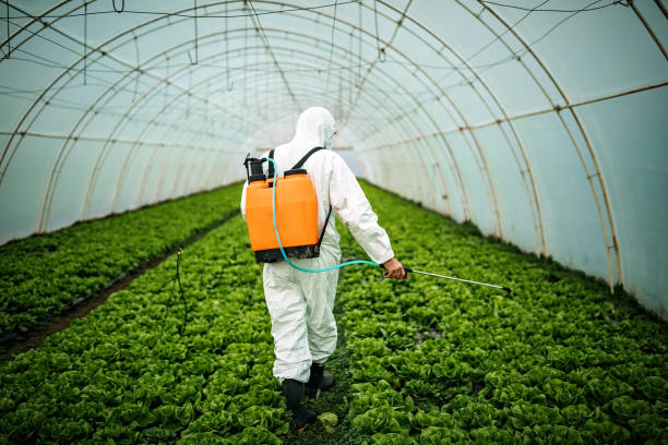Best Pest Inspection Near Me  in Leon Valley, TX