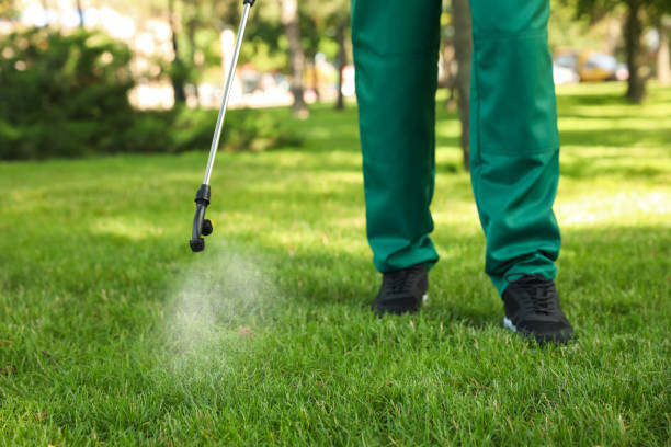 Best Wasp Removal Services  in Leon Valley, TX