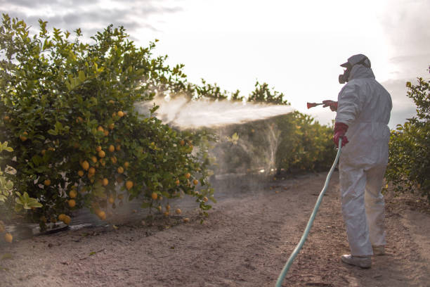 Best Pest Removal Services  in Leon Valley, TX