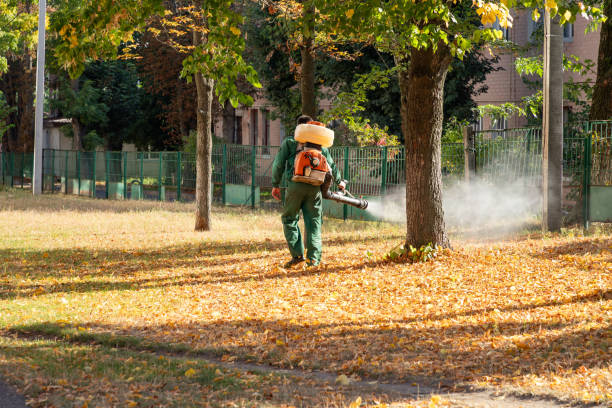 Best Wasp Removal Services  in Leon Valley, TX
