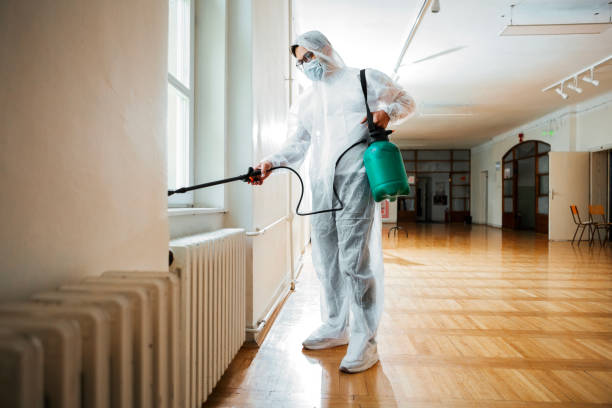 Best Bed Bug Extermination  in Leon Valley, TX