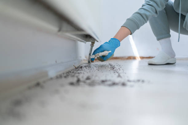 Leon Valley, TX Pest Control Company