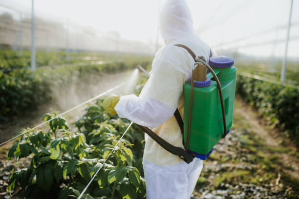 Best Emergency Pest Control  in Leon Valley, TX